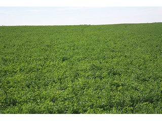 Property photo 30 - LAND AUCTION, 3255+/- Acres offered in 13 Tracts